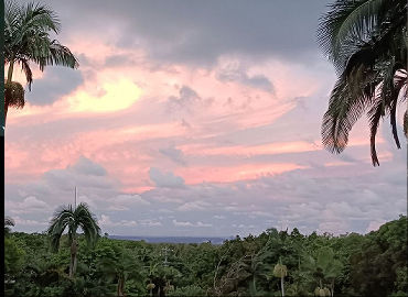 SEAVIEWS Coral Sea Views