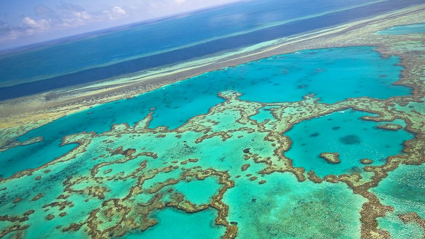 Aerial view of the Great Barrier Reef marine park during a reef tour from Tropical North Queensland
