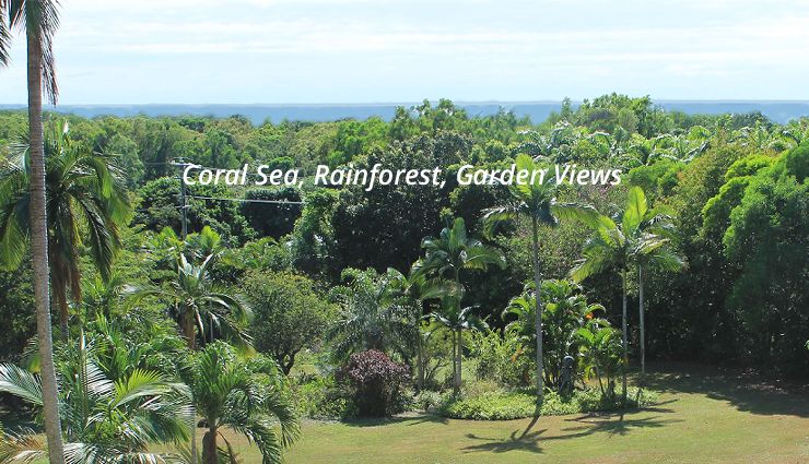 Coral Sea and Daintree Rainforest garden views from private balcony at Oak Beach Seaviews