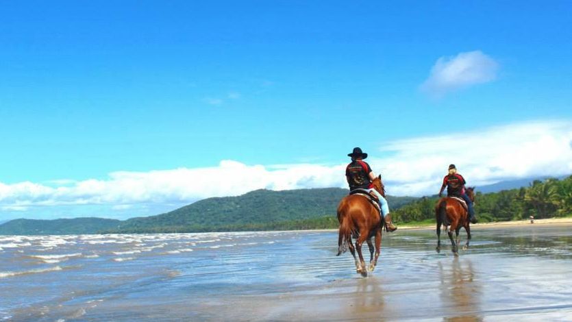 Guided horseback riding tour along the tropical beachfront at Cape Tribulation and Oak Beach