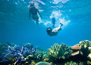 Tours Oak Beach & Port Douglas