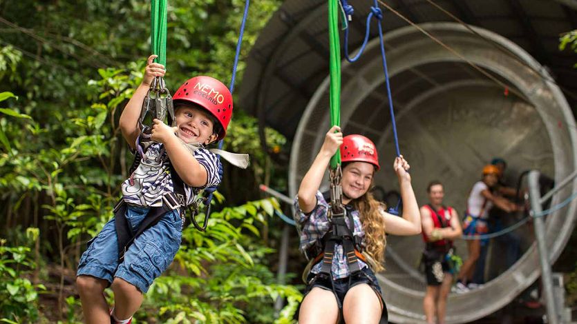 Adventurers jungle surfing and ziplining through the upper canopy of the Daintree Rainforest