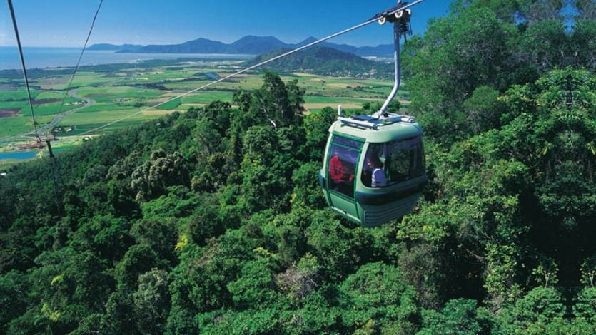 Skyrail rainforest cableway gondola ride featuring panoramic views of the Coral Sea and tropical canopy