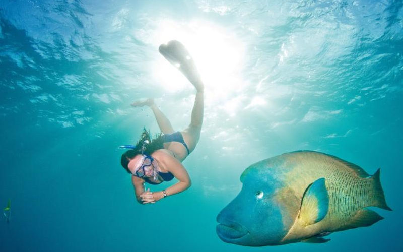 Experience Snorkelling & Scuba Diving