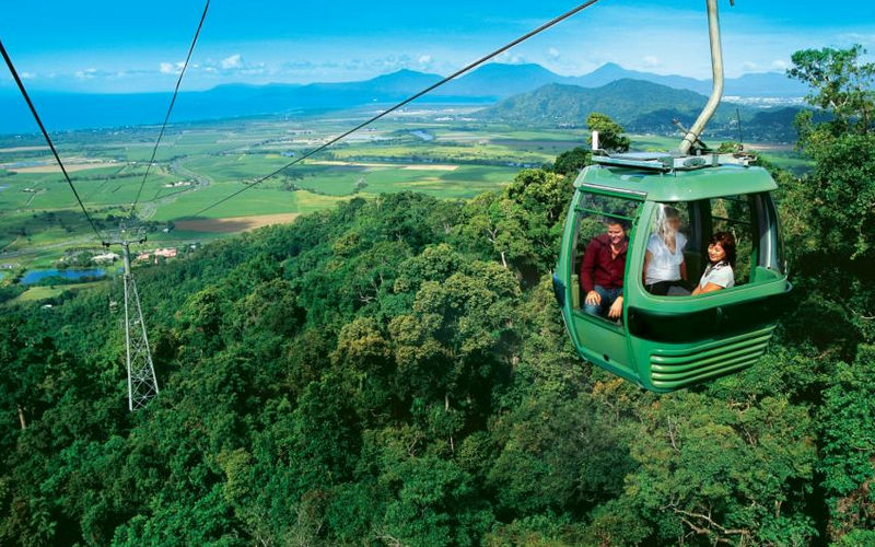 Skyrail Tours